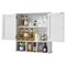 Wall-Mounted Bathroom Cabinet with 2 Doors & Adjustable Shelves